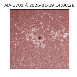 saia - 2026-01-19T14:00:28.740000