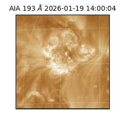 saia - 2026-01-19T14:00:04.840000