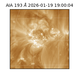 saia - 2026-01-19T19:00:04.850000