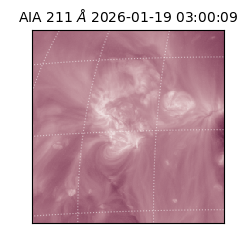 saia - 2026-01-19T03:00:09.625000
