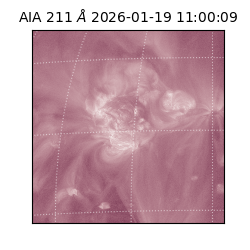 saia - 2026-01-19T11:00:09.630000