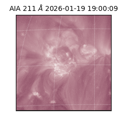 saia - 2026-01-19T19:00:09.630000