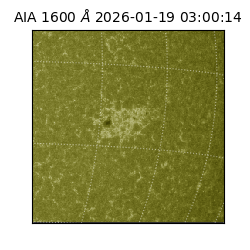 saia - 2026-01-19T03:00:14.126000