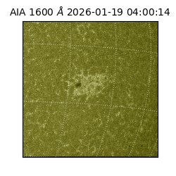 saia - 2026-01-19T04:00:14.130000