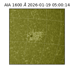 saia - 2026-01-19T05:00:14.130000