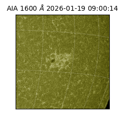 saia - 2026-01-19T09:00:14.130000