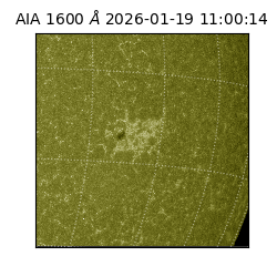 saia - 2026-01-19T11:00:14.130000