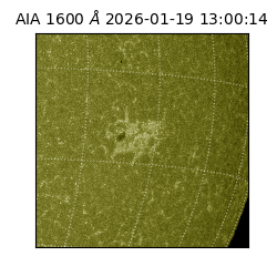 saia - 2026-01-19T13:00:14.130000