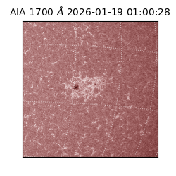 saia - 2026-01-19T01:00:28.721000