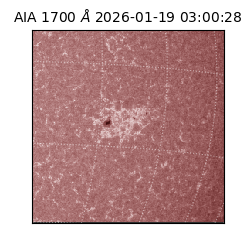 saia - 2026-01-19T03:00:28.719000
