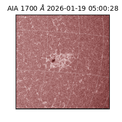 saia - 2026-01-19T05:00:28.740000