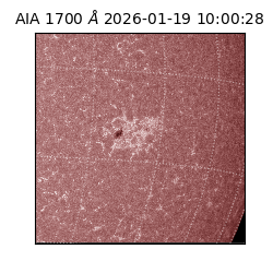 saia - 2026-01-19T10:00:28.720000