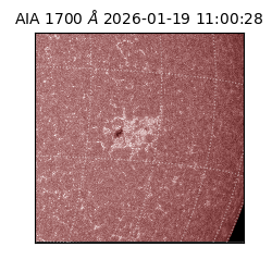 saia - 2026-01-19T11:00:28.710000