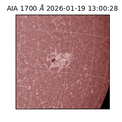 saia - 2026-01-19T13:00:28.720000
