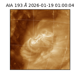 saia - 2026-01-19T01:00:04.843000