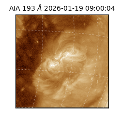 saia - 2026-01-19T09:00:04.840000