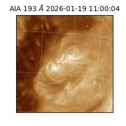saia - 2026-01-19T11:00:04.840000