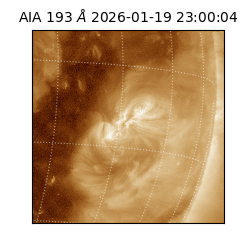saia - 2026-01-19T23:00:04.840000