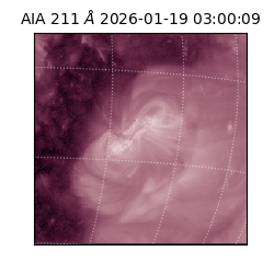saia - 2026-01-19T03:00:09.625000