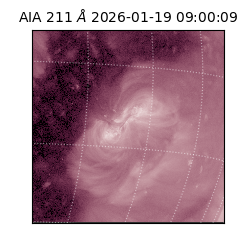 saia - 2026-01-19T09:00:09.630000