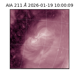 saia - 2026-01-19T10:00:09.630000