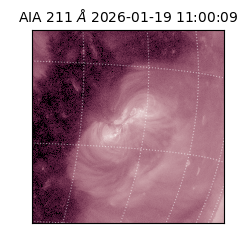 saia - 2026-01-19T11:00:09.630000