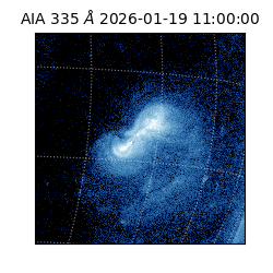 saia - 2026-01-19T11:00:00.620000
