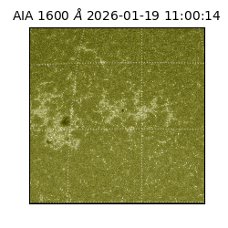 saia - 2026-01-19T11:00:14.130000
