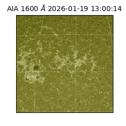 saia - 2026-01-19T13:00:14.130000
