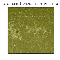 saia - 2026-01-19T19:00:14.130000