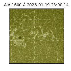 saia - 2026-01-19T23:00:14.130000