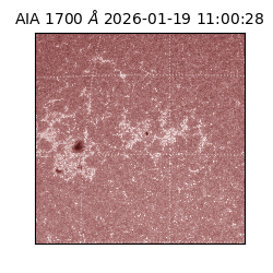 saia - 2026-01-19T11:00:28.710000