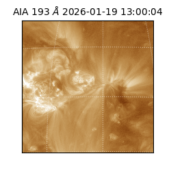 saia - 2026-01-19T13:00:04.840000
