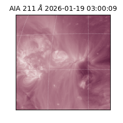 saia - 2026-01-19T03:00:09.625000