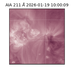 saia - 2026-01-19T10:00:09.630000