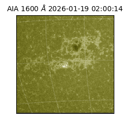 saia - 2026-01-19T02:00:14.126000