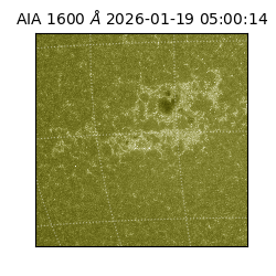 saia - 2026-01-19T05:00:14.130000