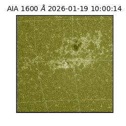 saia - 2026-01-19T10:00:14.130000