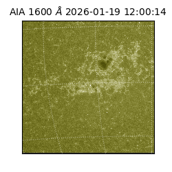 saia - 2026-01-19T12:00:14.130000