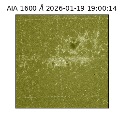 saia - 2026-01-19T19:00:14.130000