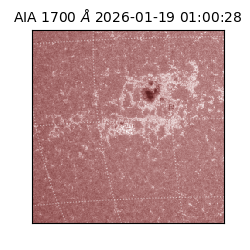 saia - 2026-01-19T01:00:28.721000