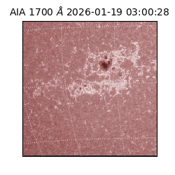 saia - 2026-01-19T03:00:28.719000