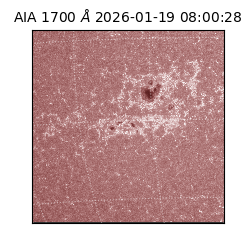 saia - 2026-01-19T08:00:28.720000