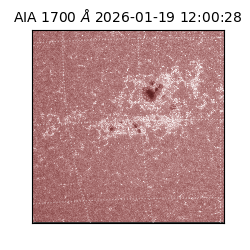 saia - 2026-01-19T12:00:28.720000