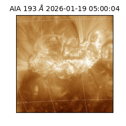 saia - 2026-01-19T05:00:04.840000