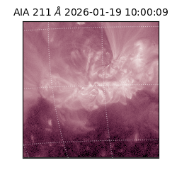 saia - 2026-01-19T10:00:09.630000