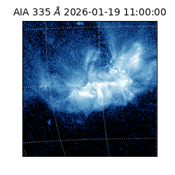 saia - 2026-01-19T11:00:00.620000