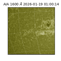 saia - 2026-01-19T01:00:14.125000