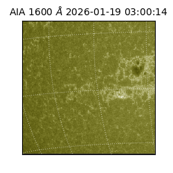 saia - 2026-01-19T03:00:14.126000
