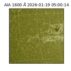 saia - 2026-01-19T05:00:14.130000